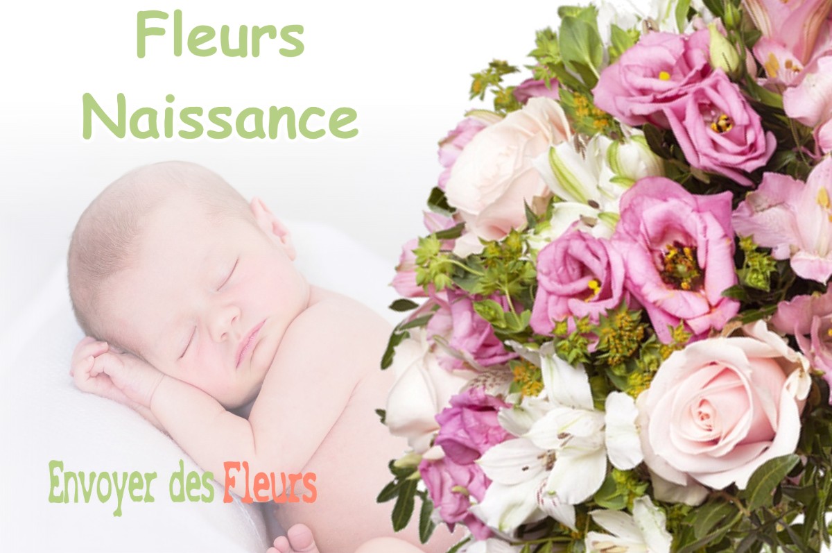 lIVRAISON FLEURS NAISSANCE à CABRIES